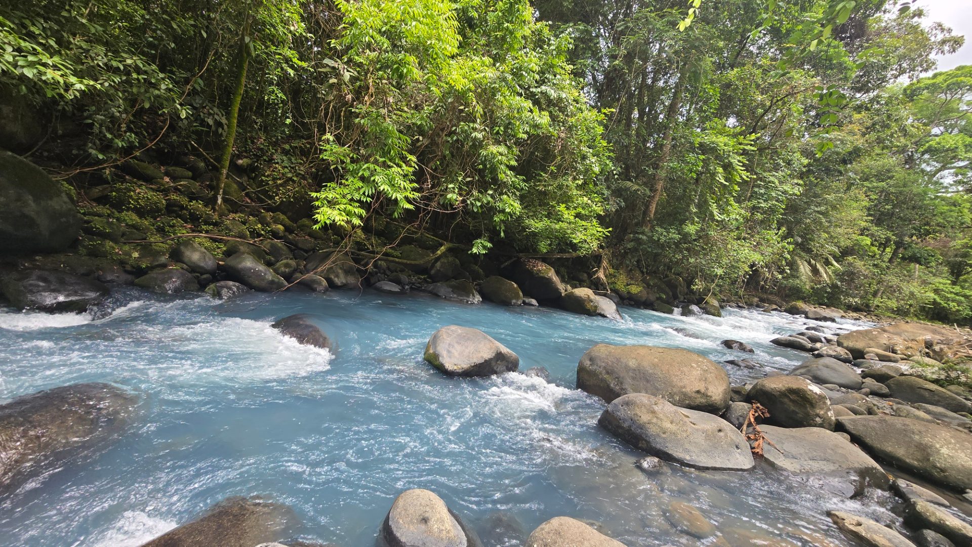 TERRENO EXCLUSIVO CON ACCESO PRIVADO AL RÍO CELESTE